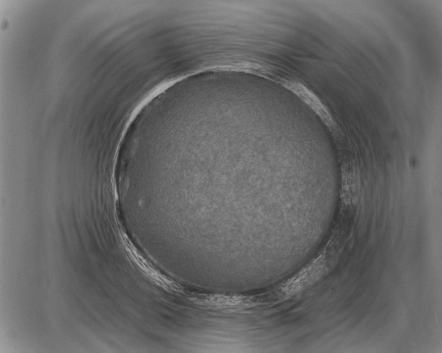 X0000085271036200703231736