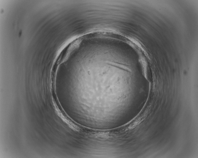 X0000085271038200703231736