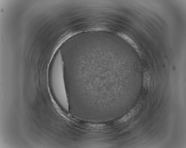 X0000085271039200703231736