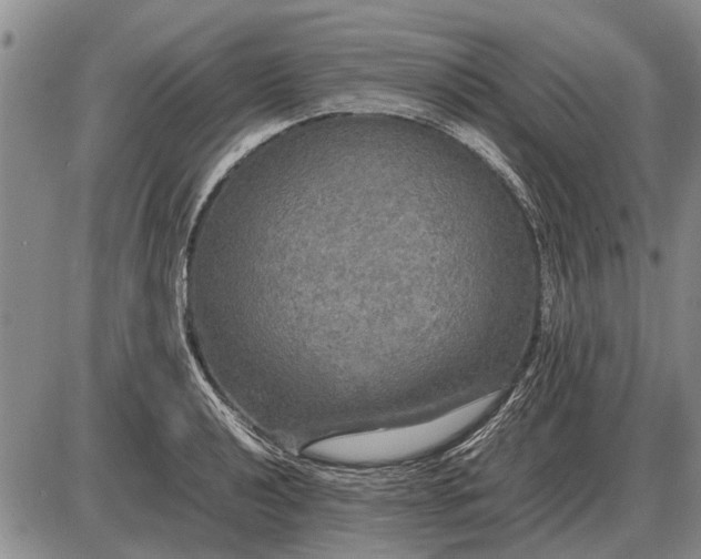 X0000085271040200703231736