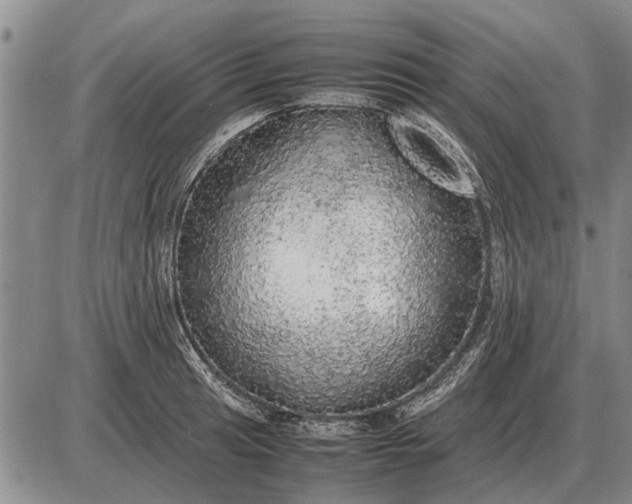 X0000085271041200703231736