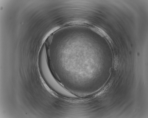 X0000085271042200703231736