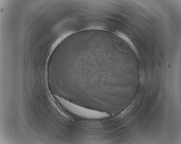 X0000085271043200703231736