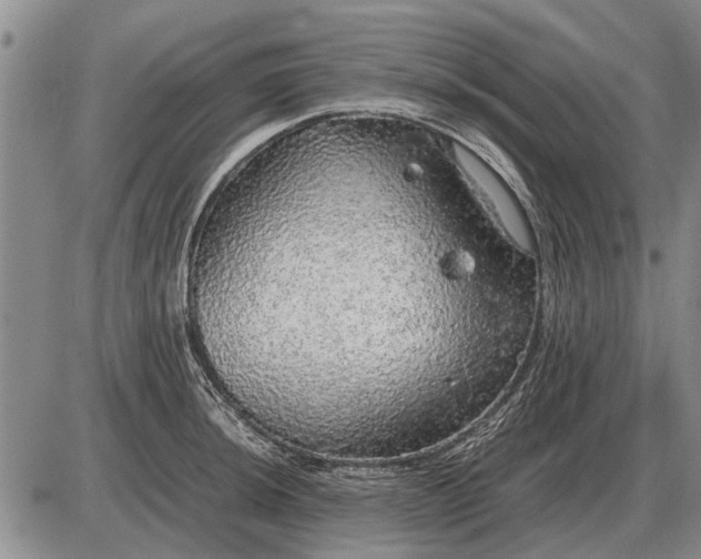 X0000085271044200703231736