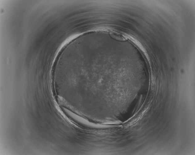 X0000085271045200703231736