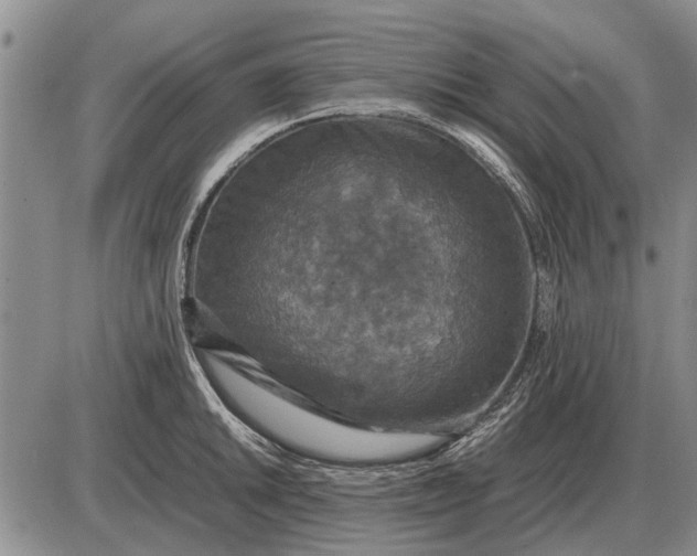 X0000085271046200703231736