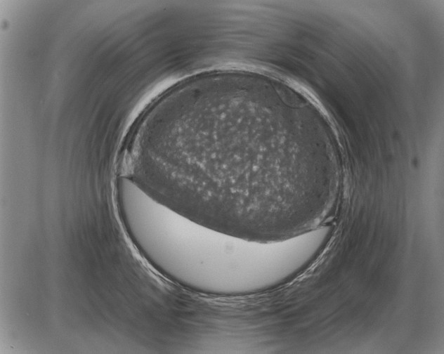 X0000085271048200703231736