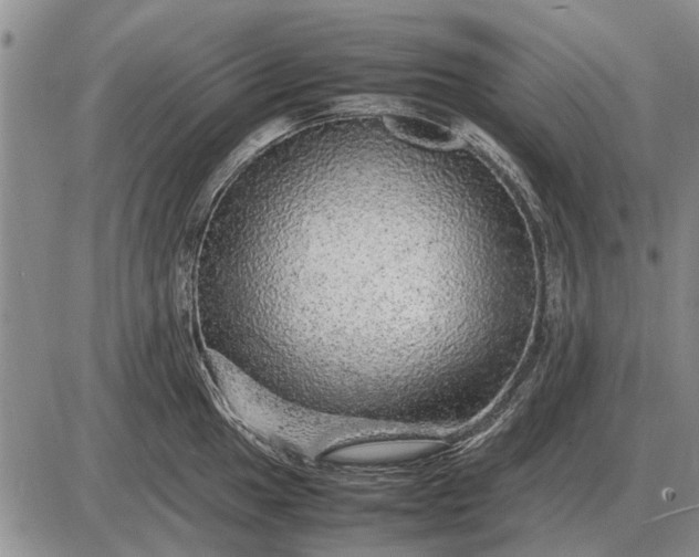 X0000085271049200703231736