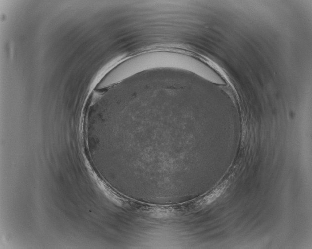 X0000085271050200703231736