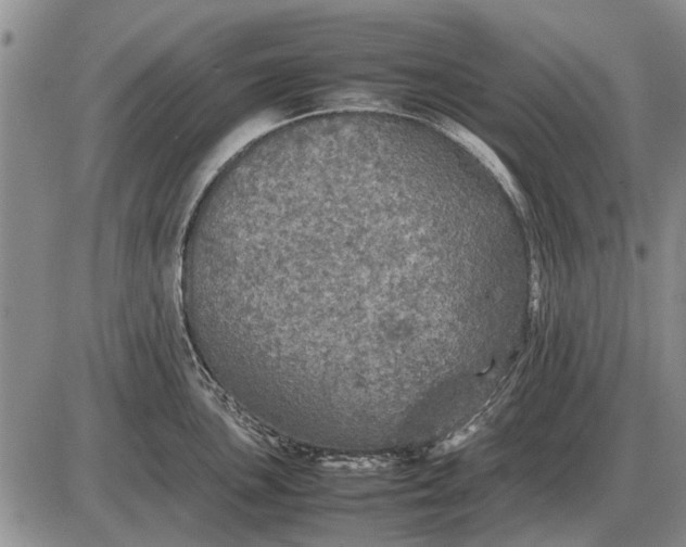 X0000085271051200703231736