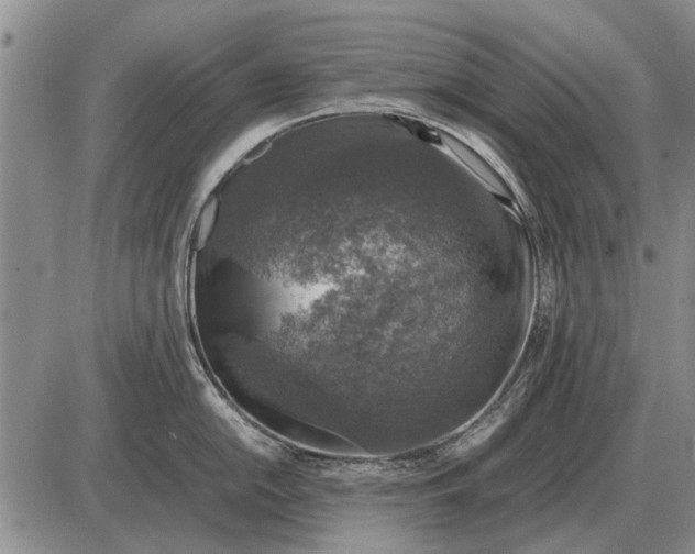 X0000085271054200703231736