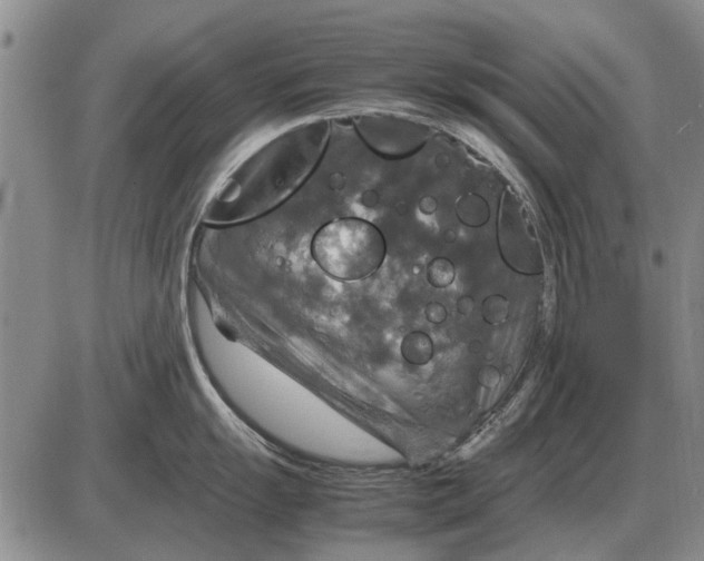 X0000085271055200703231736