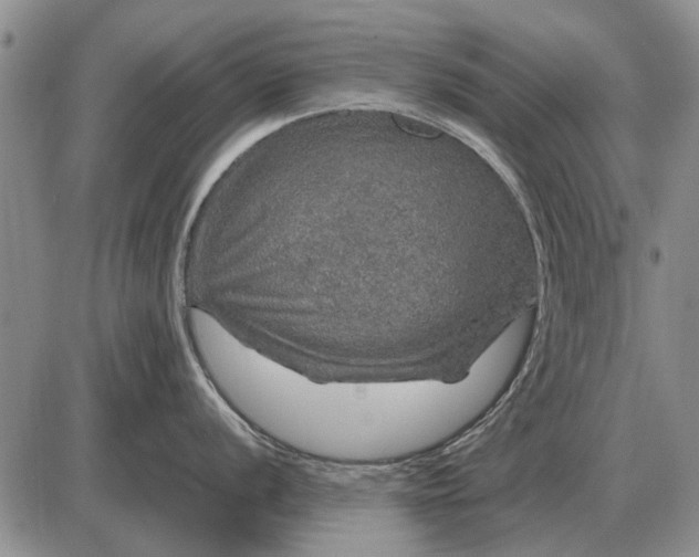 X0000085271056200703231736