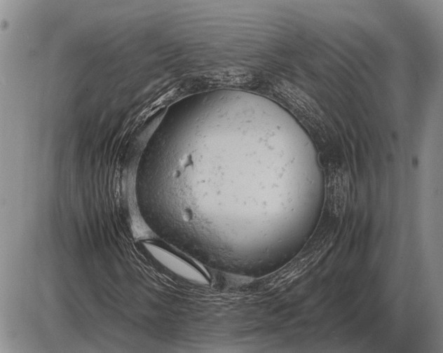 X0000085271058200703231735