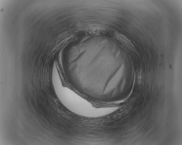 X0000085271060200703231735