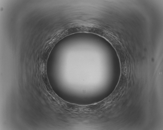 X0000085271061200703231735