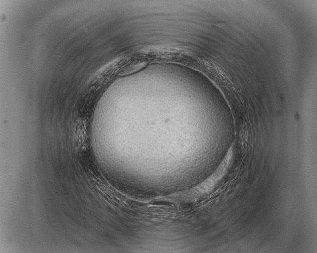 X0000085271062200703231735