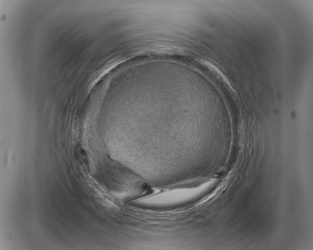 X0000085271065200703231735