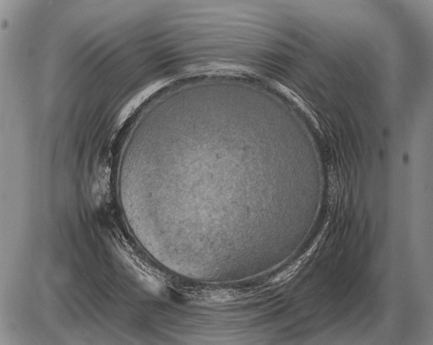 X0000085271066200703231735