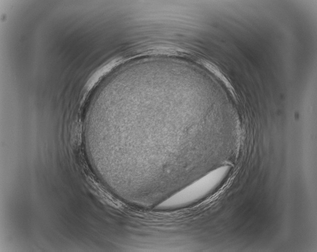 X0000085271067200703231735