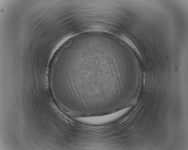 X0000085271068200703231735