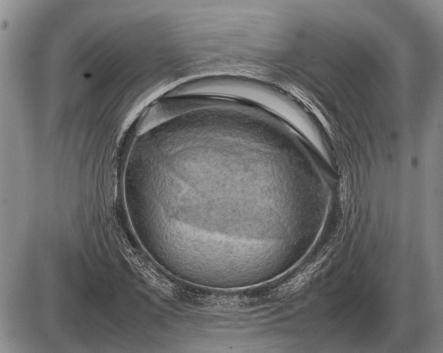 X0000085271069200703231735