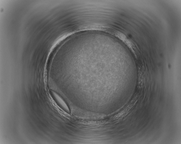 X0000085271072200703231735