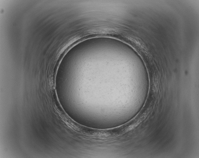 X0000085271073200703231735