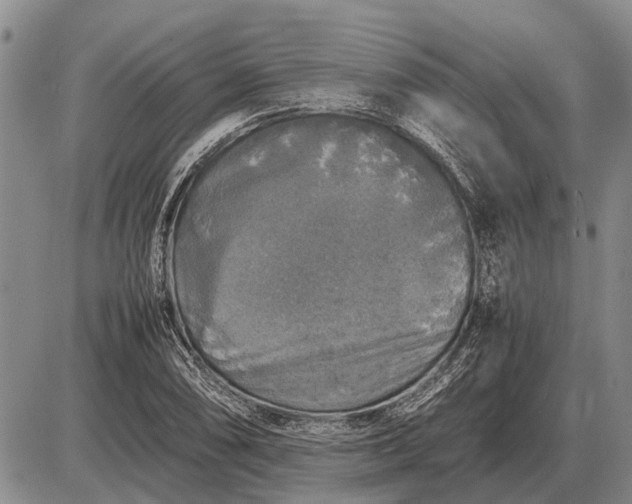 X0000085271074200703231735