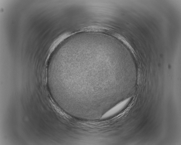 X0000085271075200703231735