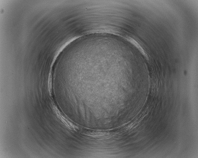 X0000085271076200703231735