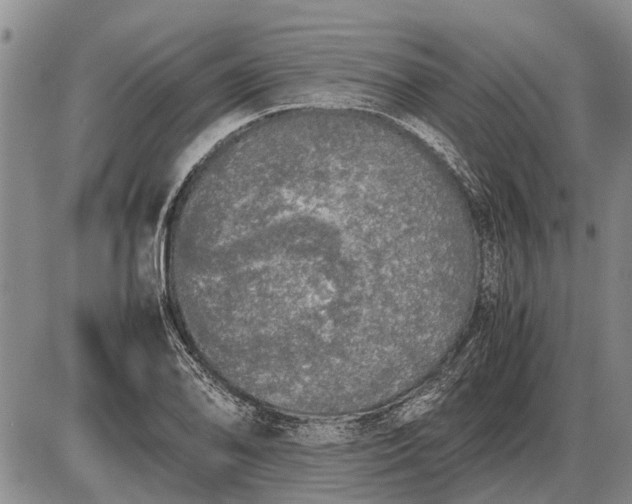 X0000085271078200703231735