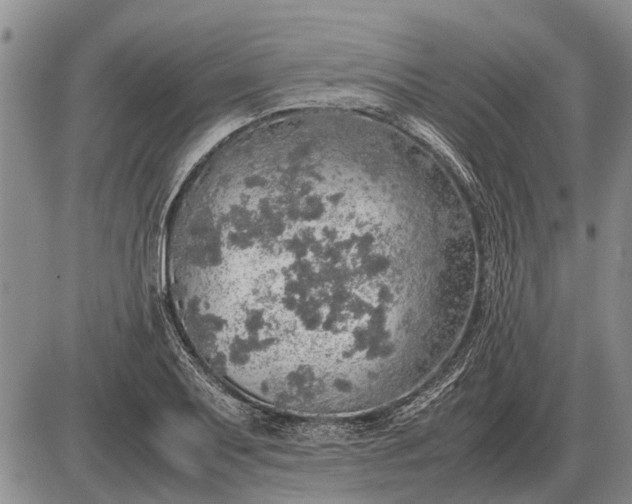 X0000085271079200703231735