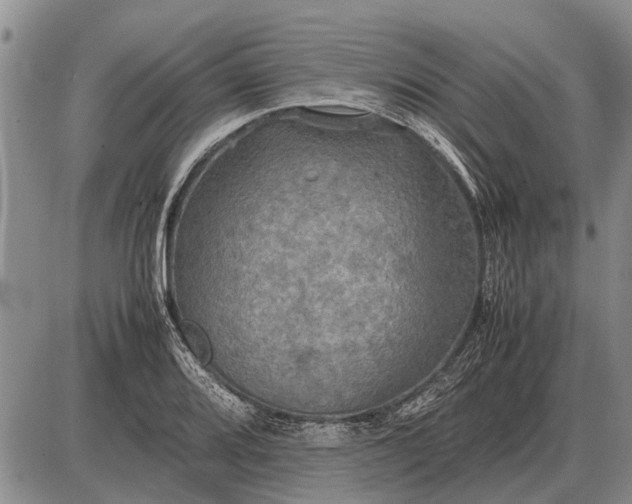 X0000085271080200703231735