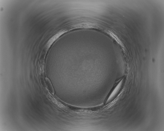 X0000085271081200703231735