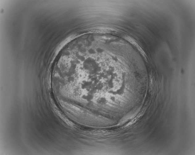 X0000085271083200703231735