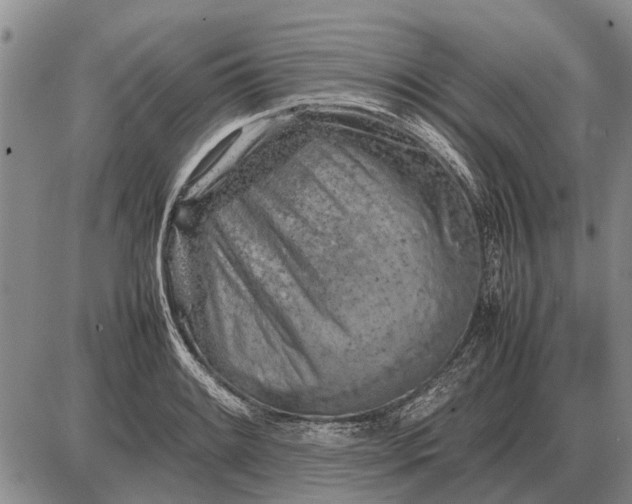 X0000085271084200703231735