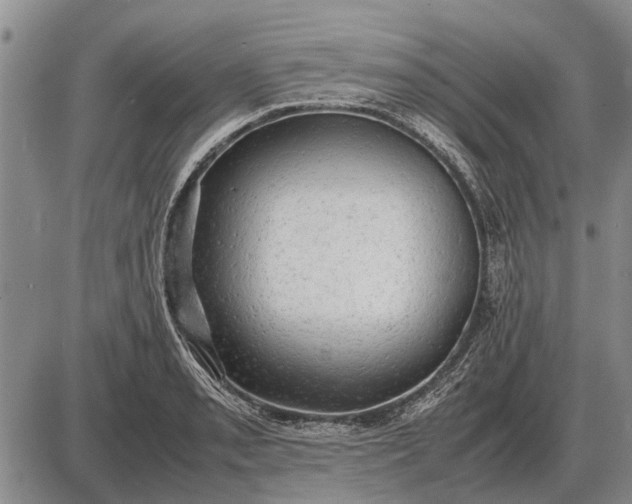 X0000085271085200703231735