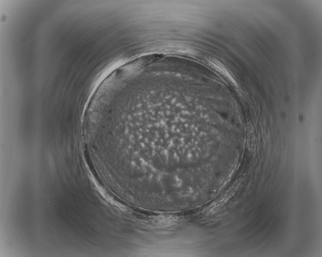 X0000085271087200703231735