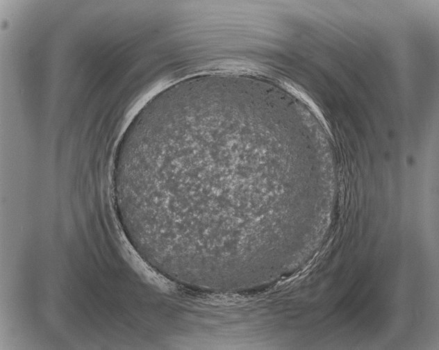 X0000085271091200703231735