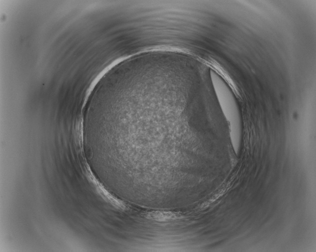 X0000085271092200703231735