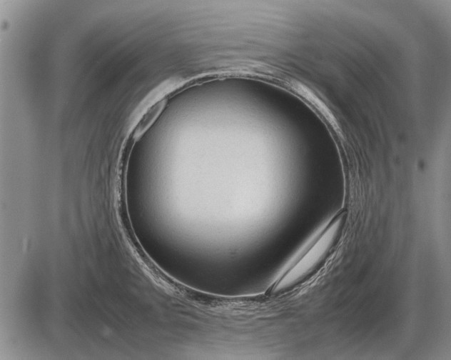 X0000085271093200703231735