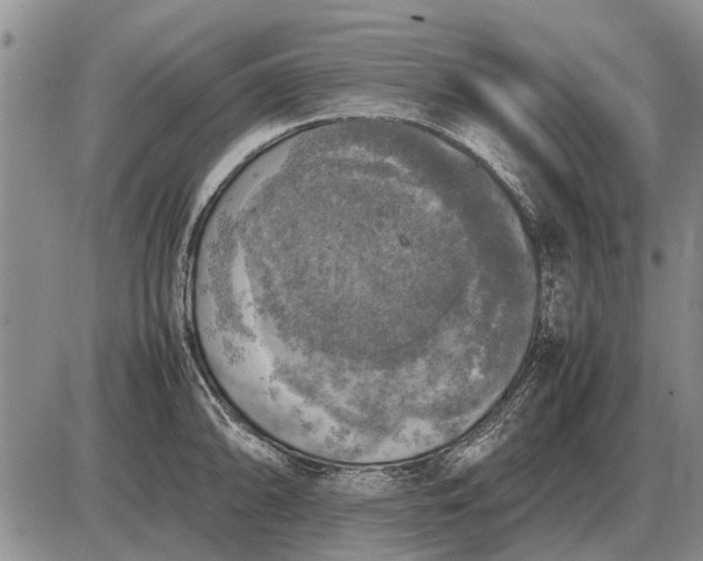 X0000085271094200703231735