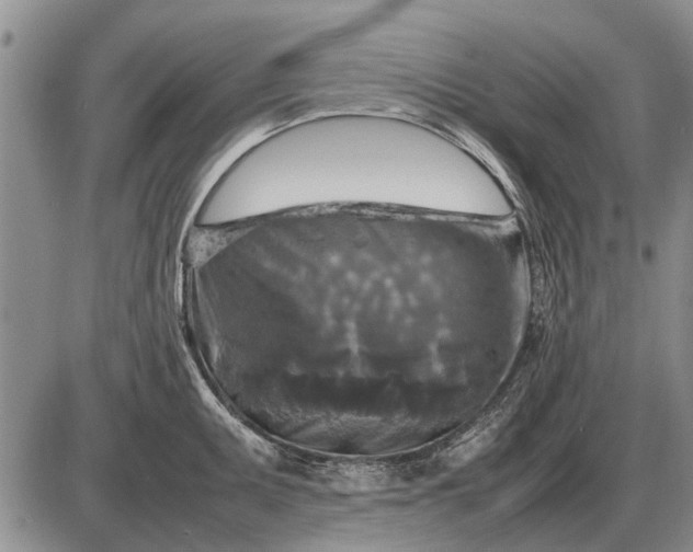 X0000085271095200703231735