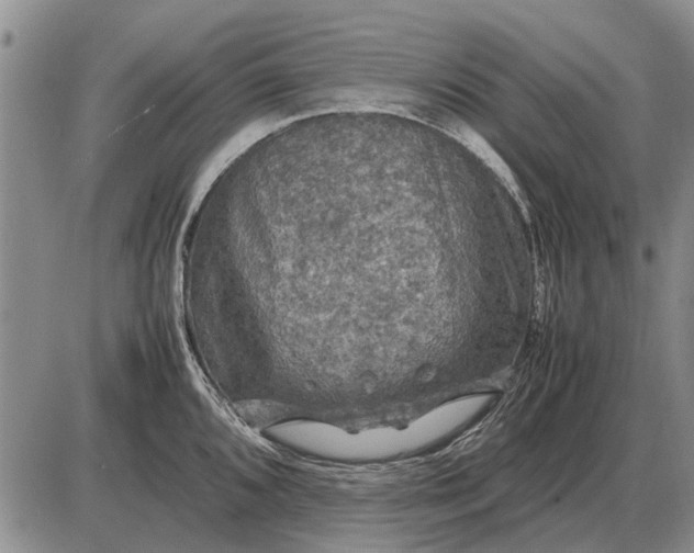 X0000085271096200703231734