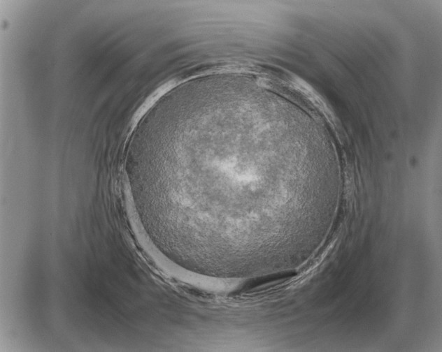 X0000085271097200703231734