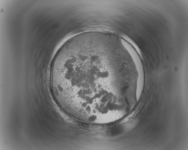 X0000085271099200703231734