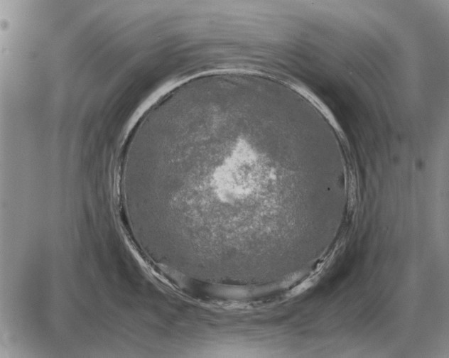 X0000085271101200703231734