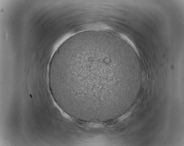 X0000085271103200703231734