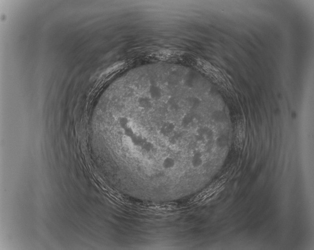 X0000085271105200703231734